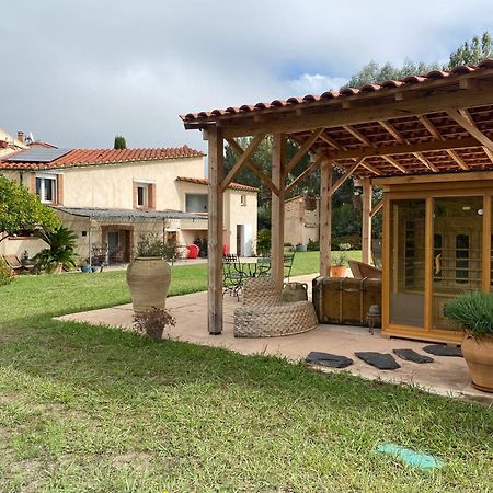 "Mas Tramontane "Chambres D'Hotes Et Studio Avec Piscine Dans Parc Arbore Ille-sur-Têt Dış mekan fotoğraf