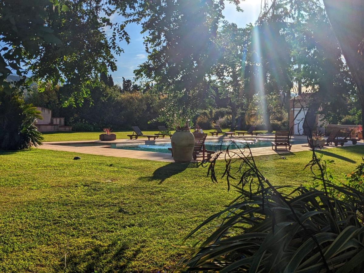 "Mas Tramontane "Chambres D'Hotes Et Studio Avec Piscine Dans Parc Arbore Ille-sur-Têt Dış mekan fotoğraf