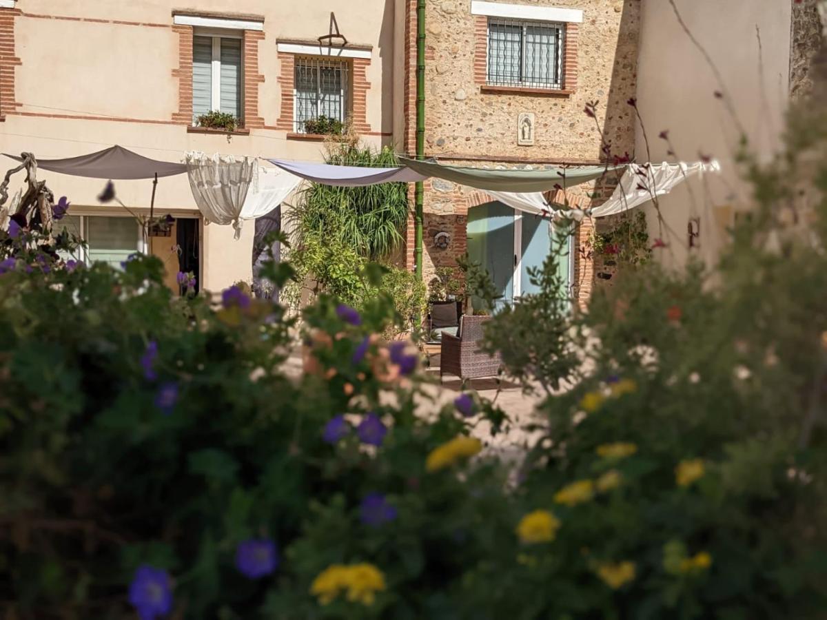"Mas Tramontane "Chambres D'Hotes Et Studio Avec Piscine Dans Parc Arbore Ille-sur-Têt Dış mekan fotoğraf