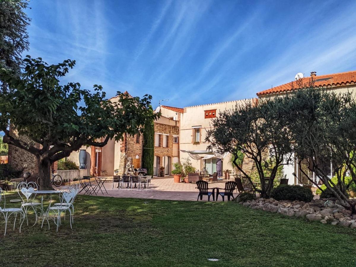 "Mas Tramontane "Chambres D'Hotes Et Studio Avec Piscine Dans Parc Arbore Ille-sur-Têt Dış mekan fotoğraf
