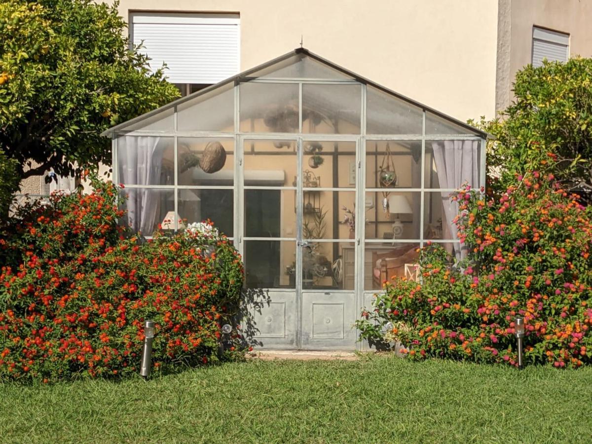 "Mas Tramontane "Chambres D'Hotes Et Studio Avec Piscine Dans Parc Arbore Ille-sur-Têt Dış mekan fotoğraf