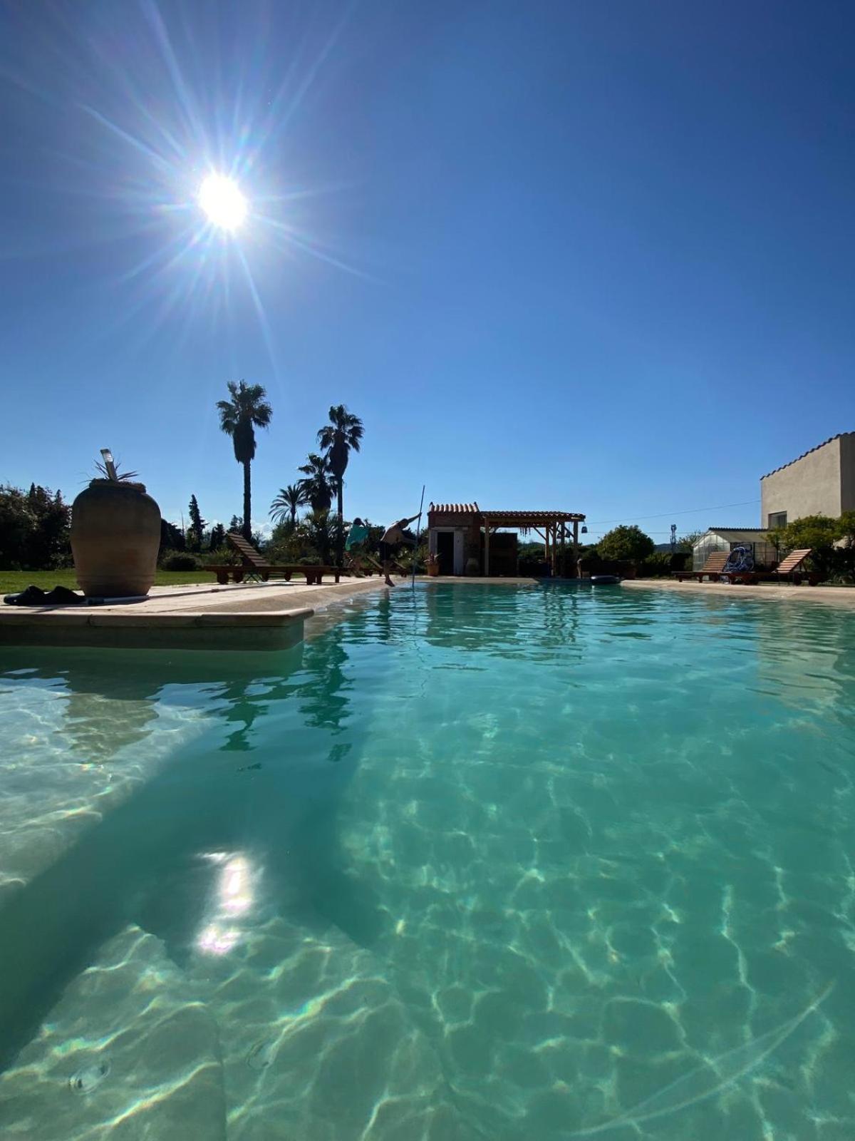 "Mas Tramontane "Chambres D'Hotes Et Studio Avec Piscine Dans Parc Arbore Ille-sur-Têt Dış mekan fotoğraf