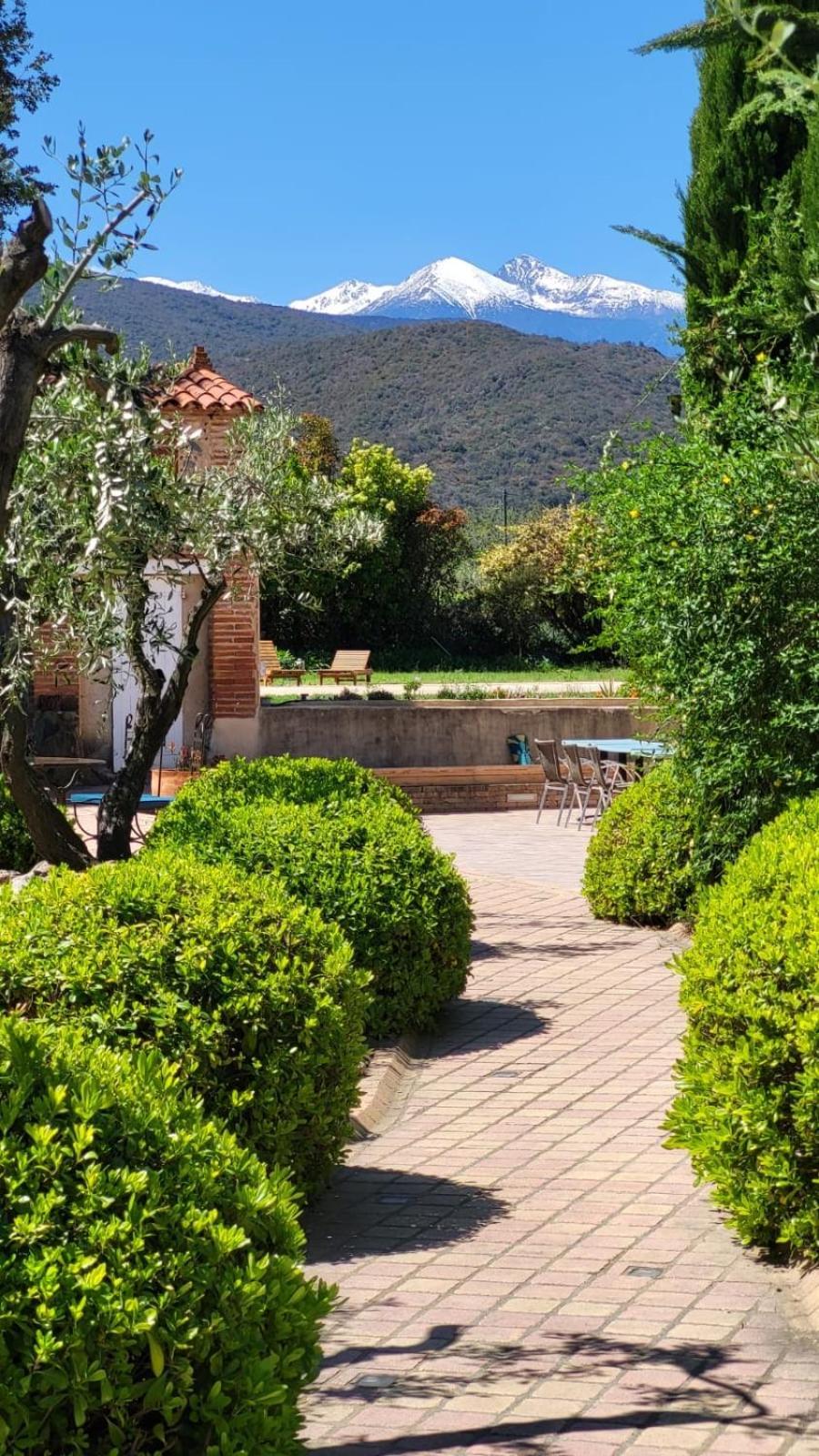 "Mas Tramontane "Chambres D'Hotes Et Studio Avec Piscine Dans Parc Arbore Ille-sur-Têt Dış mekan fotoğraf