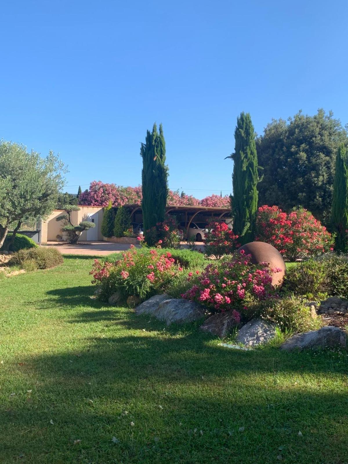 "Mas Tramontane "Chambres D'Hotes Et Studio Avec Piscine Dans Parc Arbore Ille-sur-Têt Dış mekan fotoğraf