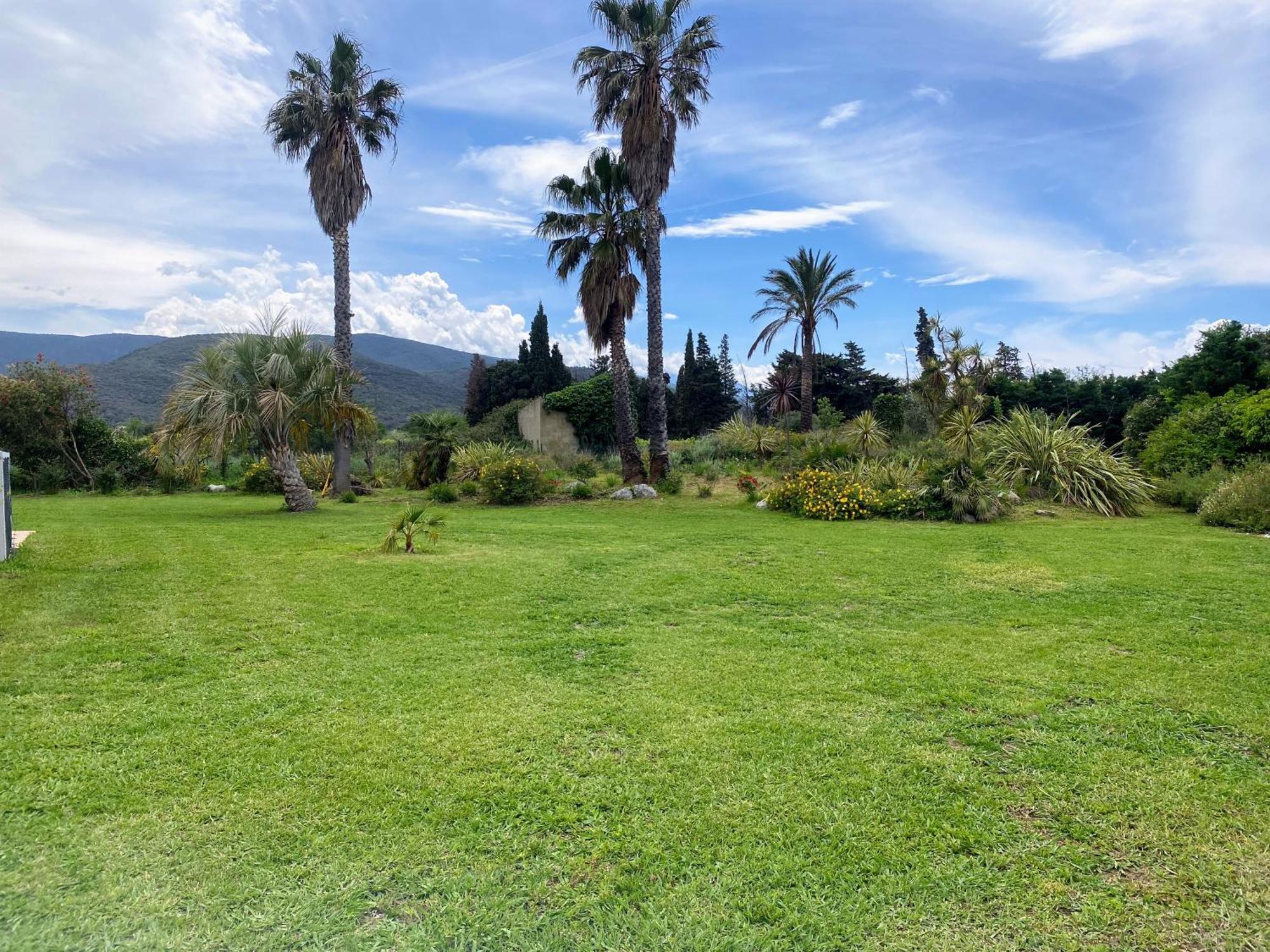 "Mas Tramontane "Chambres D'Hotes Et Studio Avec Piscine Dans Parc Arbore Ille-sur-Têt Dış mekan fotoğraf